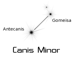 canis minor