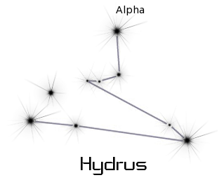 hydrus
