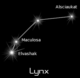lynx black