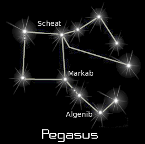 pegasus black