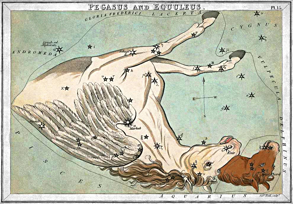 constellation Pegasus