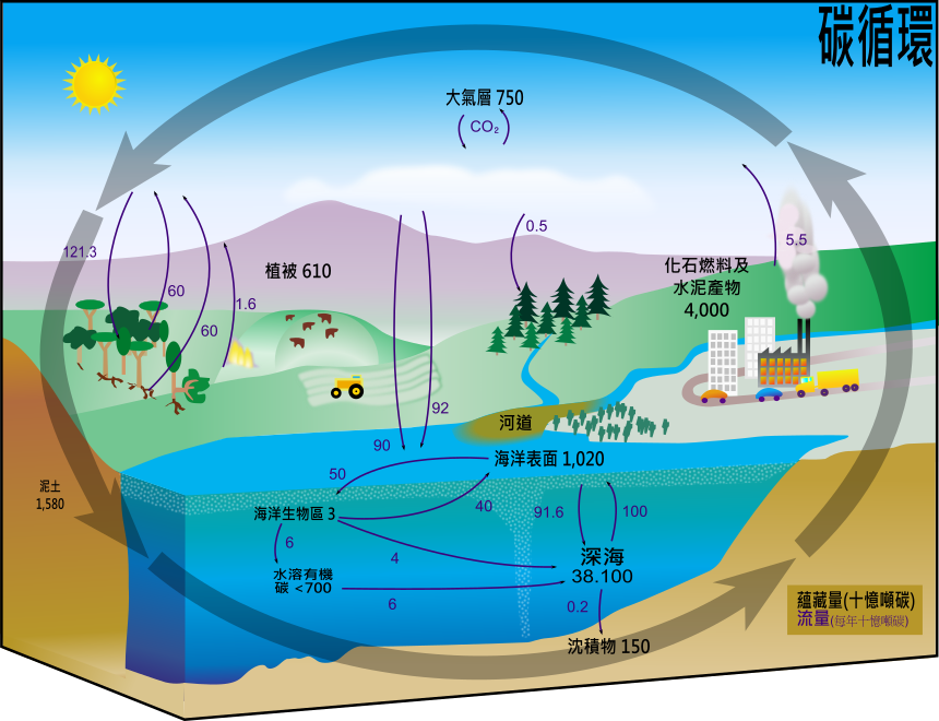Carbon cycle diagram Chinese