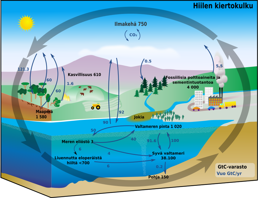 Carbon cycle diagram fi