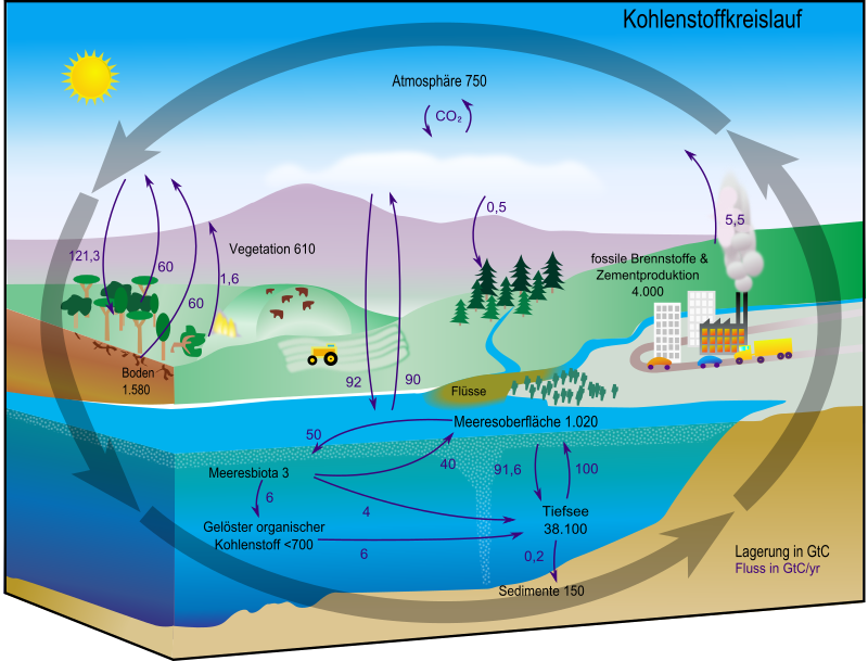 Carbon cycle diagram german-texts2paths