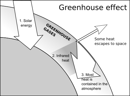Greenhouse BW