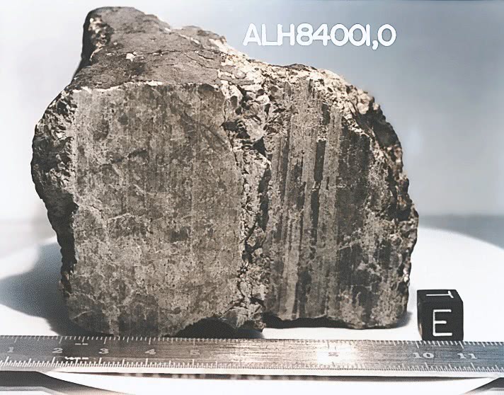 Allen Hills meteorite from Mars