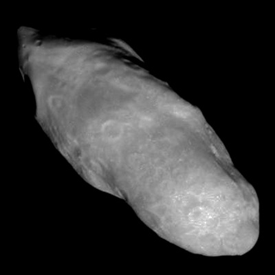 Prometheus moon of Saturn
