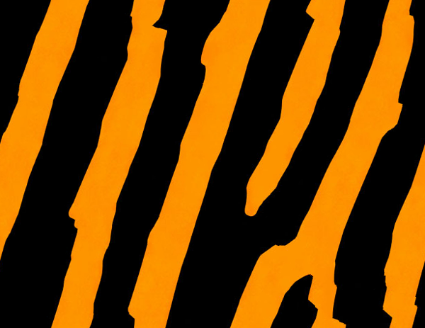 tiger stripes background seamless