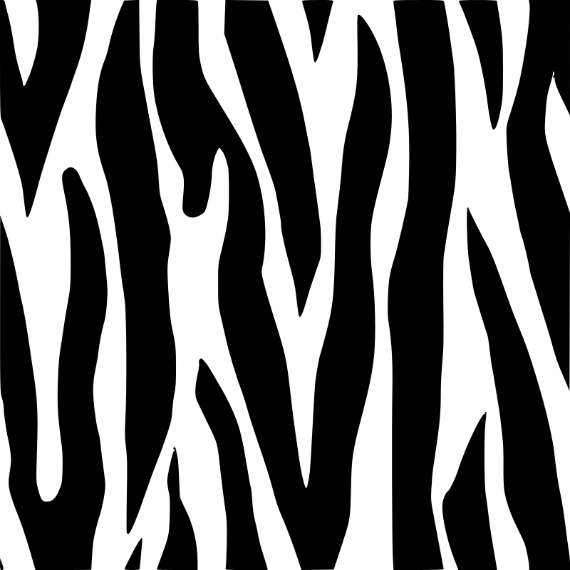 zebra stripes 2