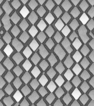 snakeskin pattern gray