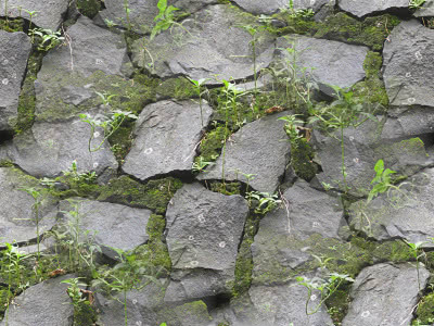 stone-wall-texture-moss