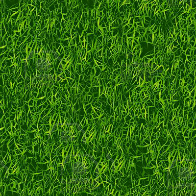 grass texture seamless