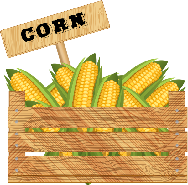 crate-of-corn