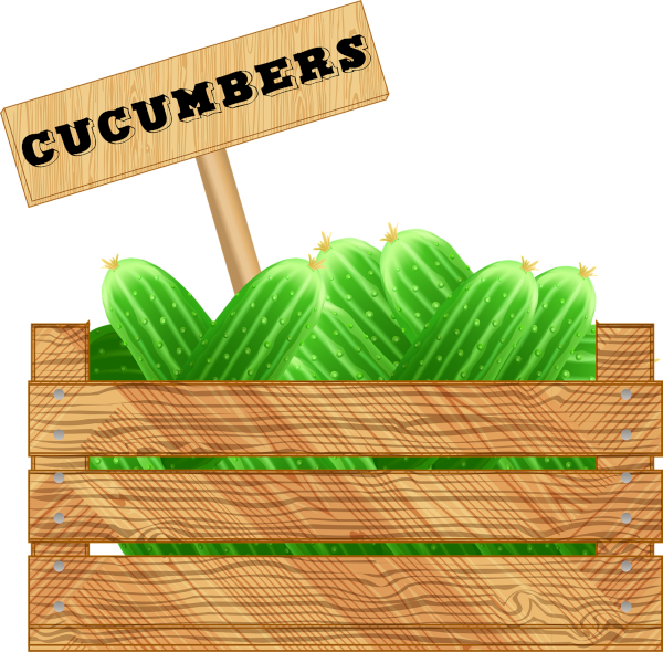 crate-of-cucumbers