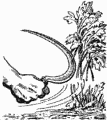 Sickle in use