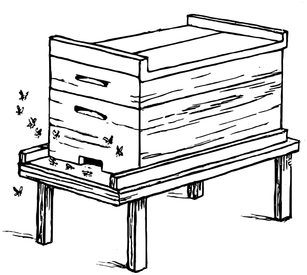 hive box