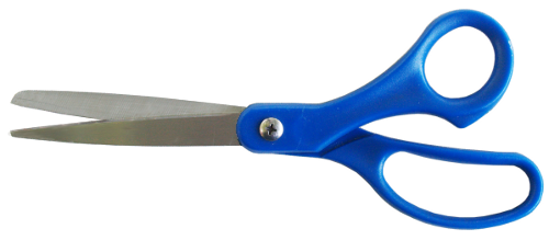 blue handled scissors