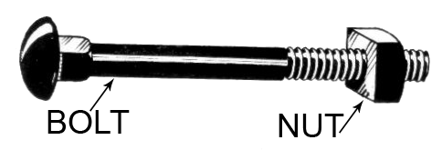 carriage bolt and nut