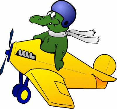 gator plane 1