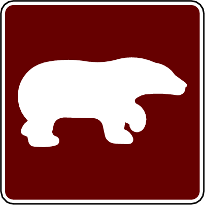 bear viewing area