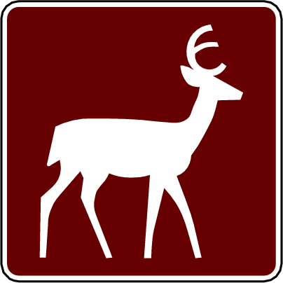 deer viewing area
