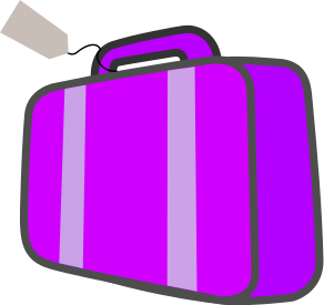 bag w ticket purple