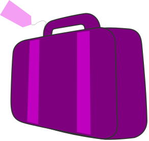 bag w ticket purple 2