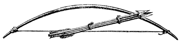 fuegian bow arrow