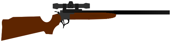 hunting rifle w scope