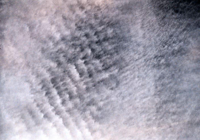Altocumulus undulatus cloud
