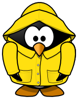 raincoat penguin