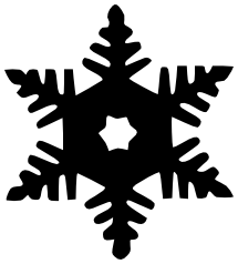 Snowflake BW 12
