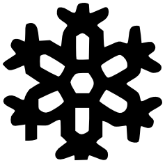 Snowflake BW 16