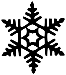 Snowflake BW 43