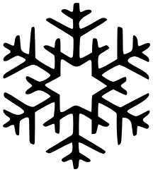 Snowflake BW 47