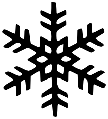 Snowflake BW 49