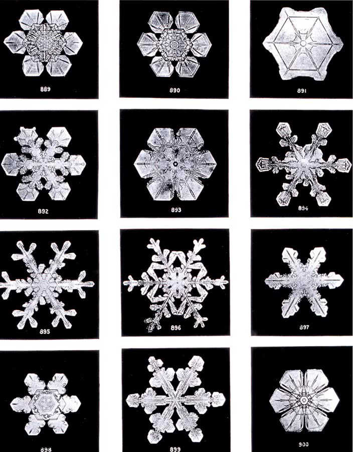 Snowflakes Wilson Bentley