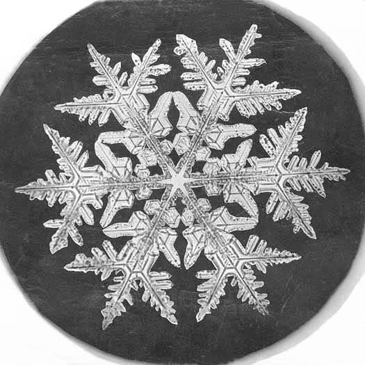 snowflake by Bentley 1890