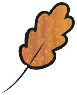 Autumn leaf vector 05