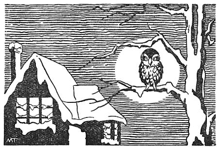 owl in winter