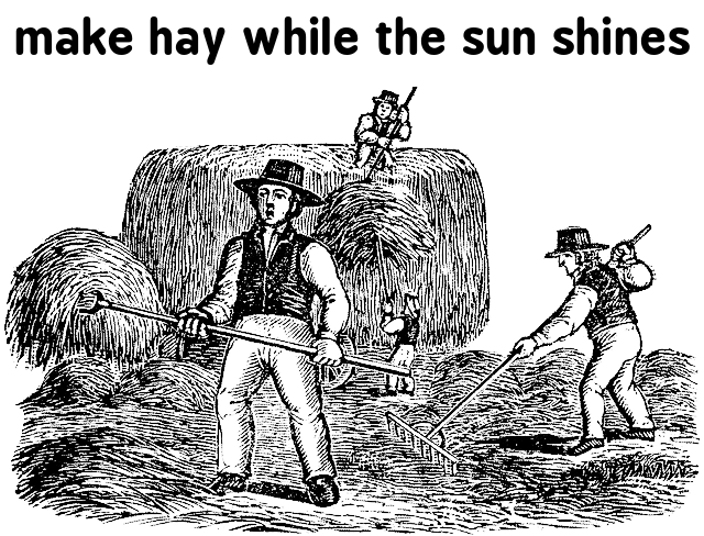 make hay while the sun shines