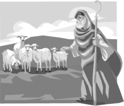 shepherd w sheep