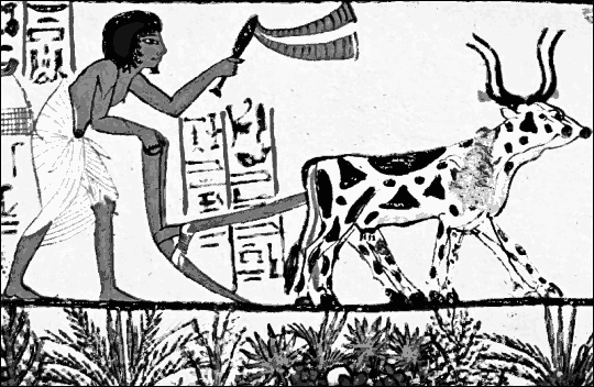 Egyptian plow 1200 BC
