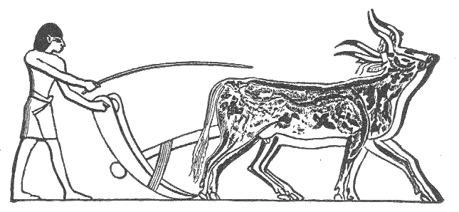 Ancient Egyptian Plowing
