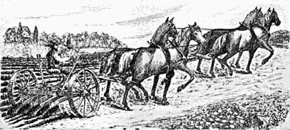 gang plow drawn by horses