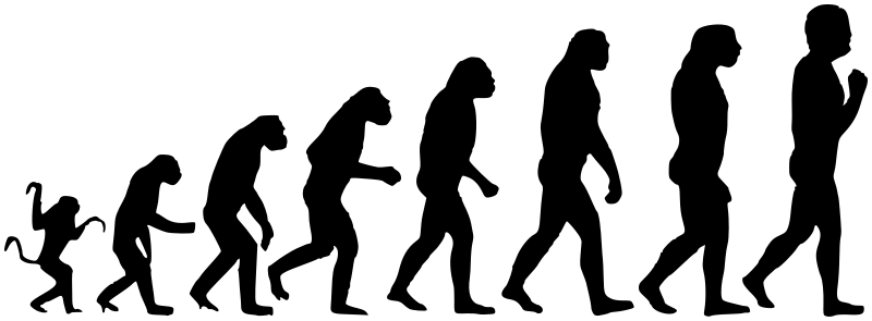 evolution silhouette