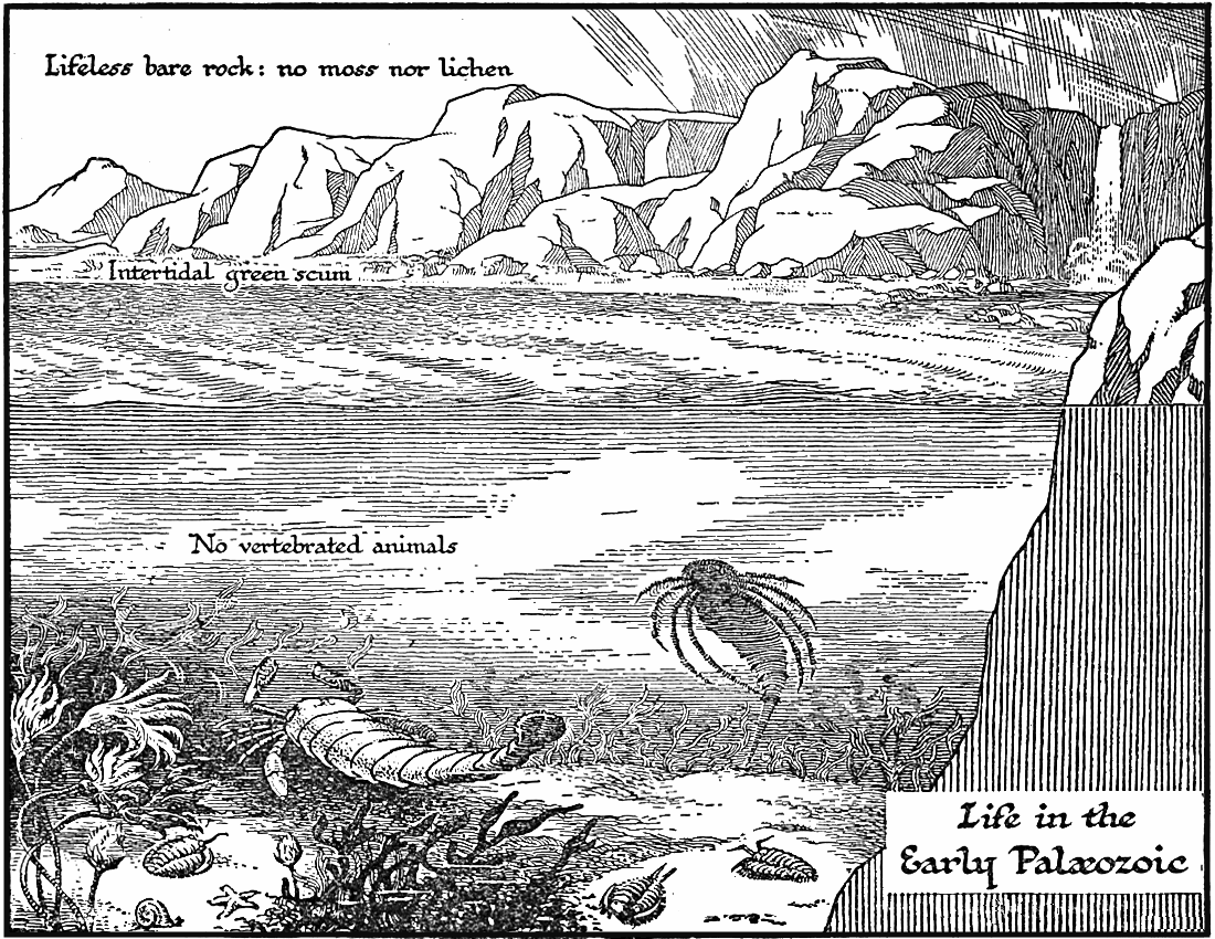 early Paleozoic