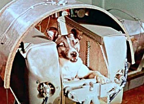 Laika first dog in space