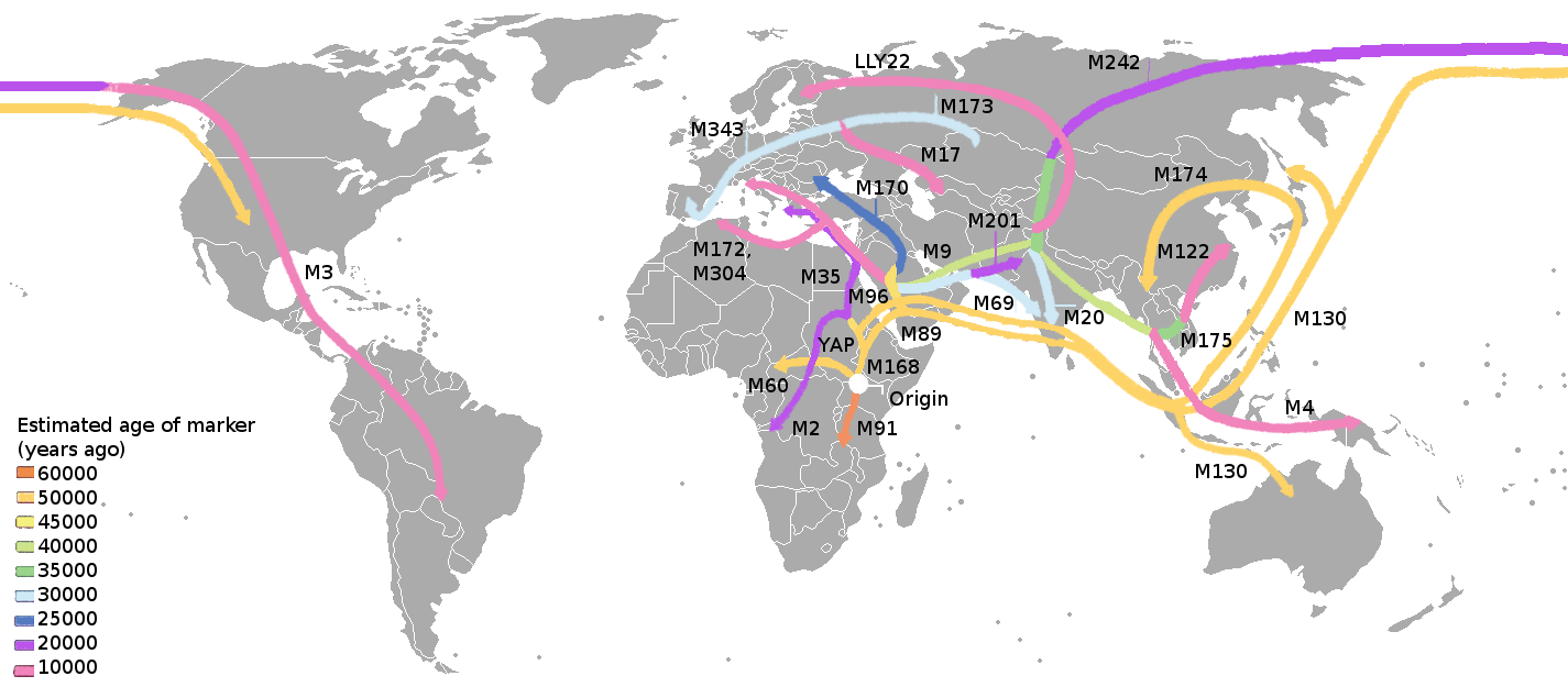Human spreading over history DNA