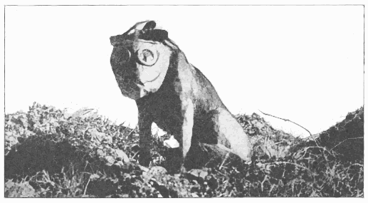 Dog with mask WWI
